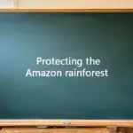 A green classroom chalkboard with the text Protecting the Amazon Rainforest written in white.