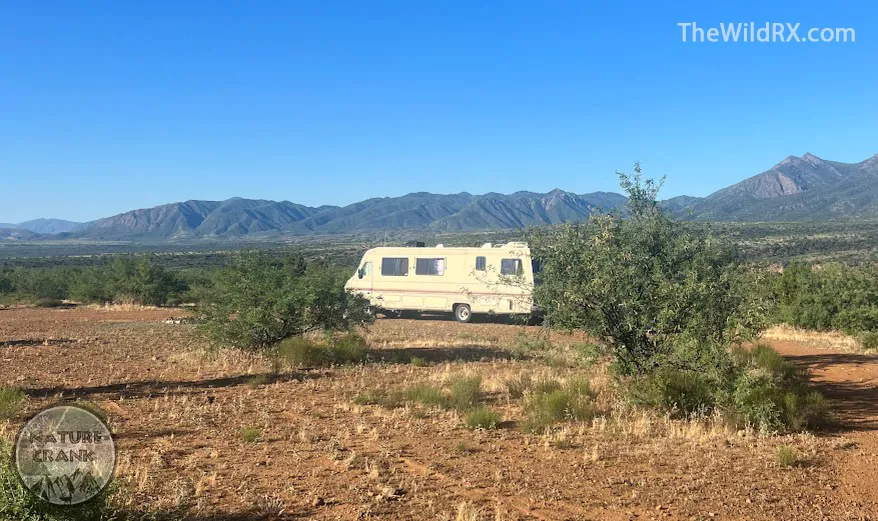 Mik’s dog Maximus stands by an RV in the high desert, illustrating the Nature Crank lifestyle of adventure and survival.