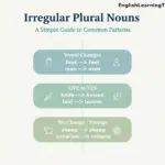 Infographic showing examples of irregular plural nouns in English, including vowel changes, f/fe to ves shifts, and invariant nouns.