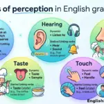 An educational infographic illustrating the five senses (sight, hearing, smell, taste, touch) and their corresponding English verbs of perception, categorized into dynamic and stative/linking verb uses with examples.