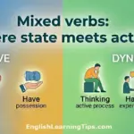 Infographic explaining mixed verbs in English grammar comparing stative meanings like think, feel, and have with dynamic meanings like thinking, feeling, and having.