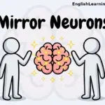 Simple cartoon illustration of mirror neurons showing two figures mirroring hand gestures with a glowing brain in the center